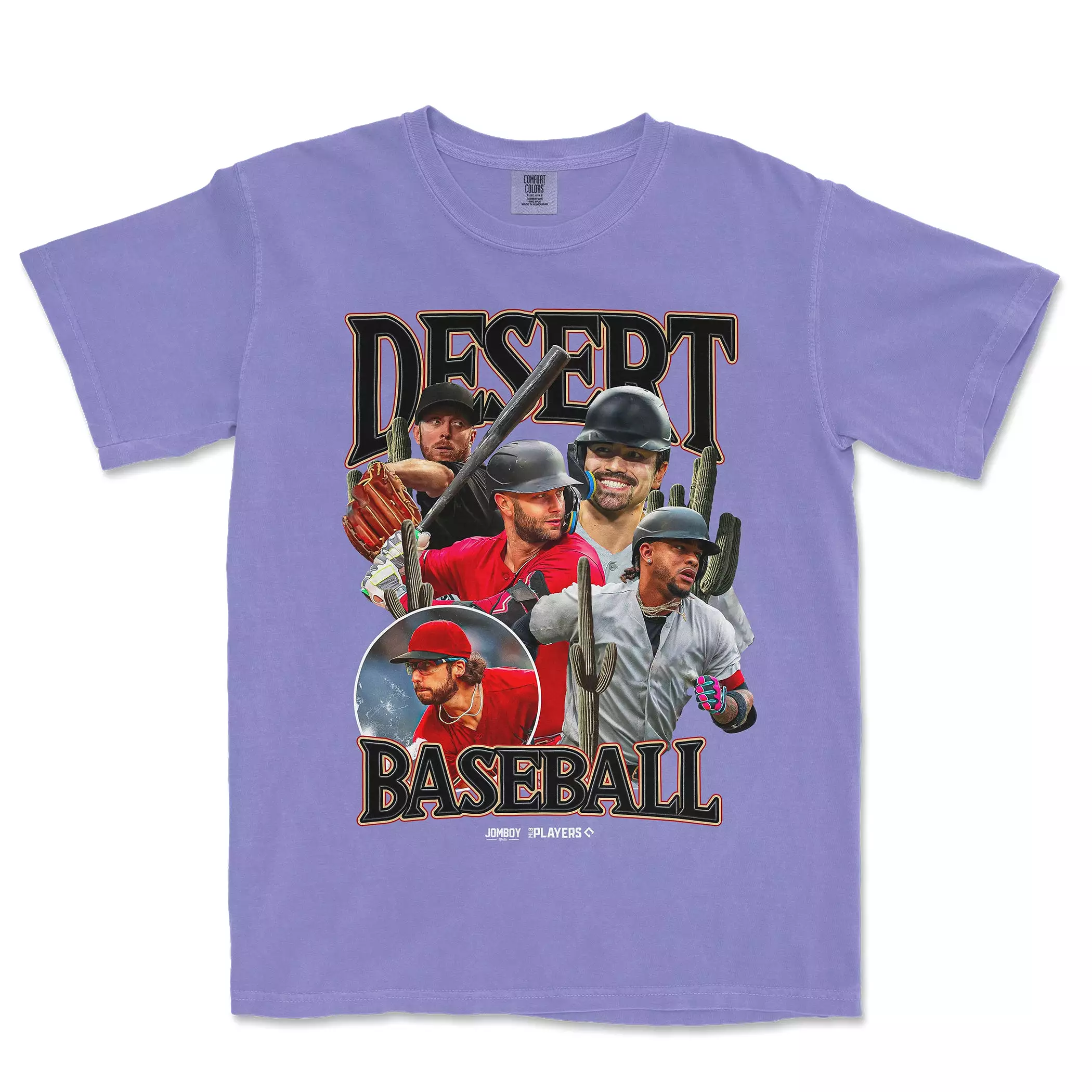 Desert Baseball 